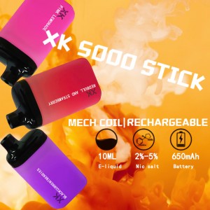 XK 5000 STICK VAPE POD PAKAI
