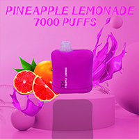 XK 7000 Kissen ANANAS LIMONADE